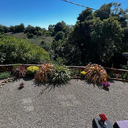 Rose Cottage B&B-3